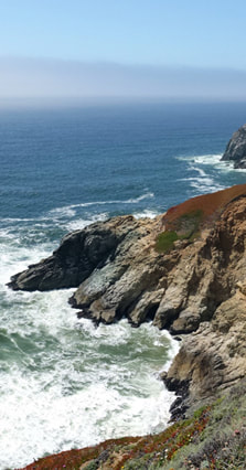 Ocean Cliffs